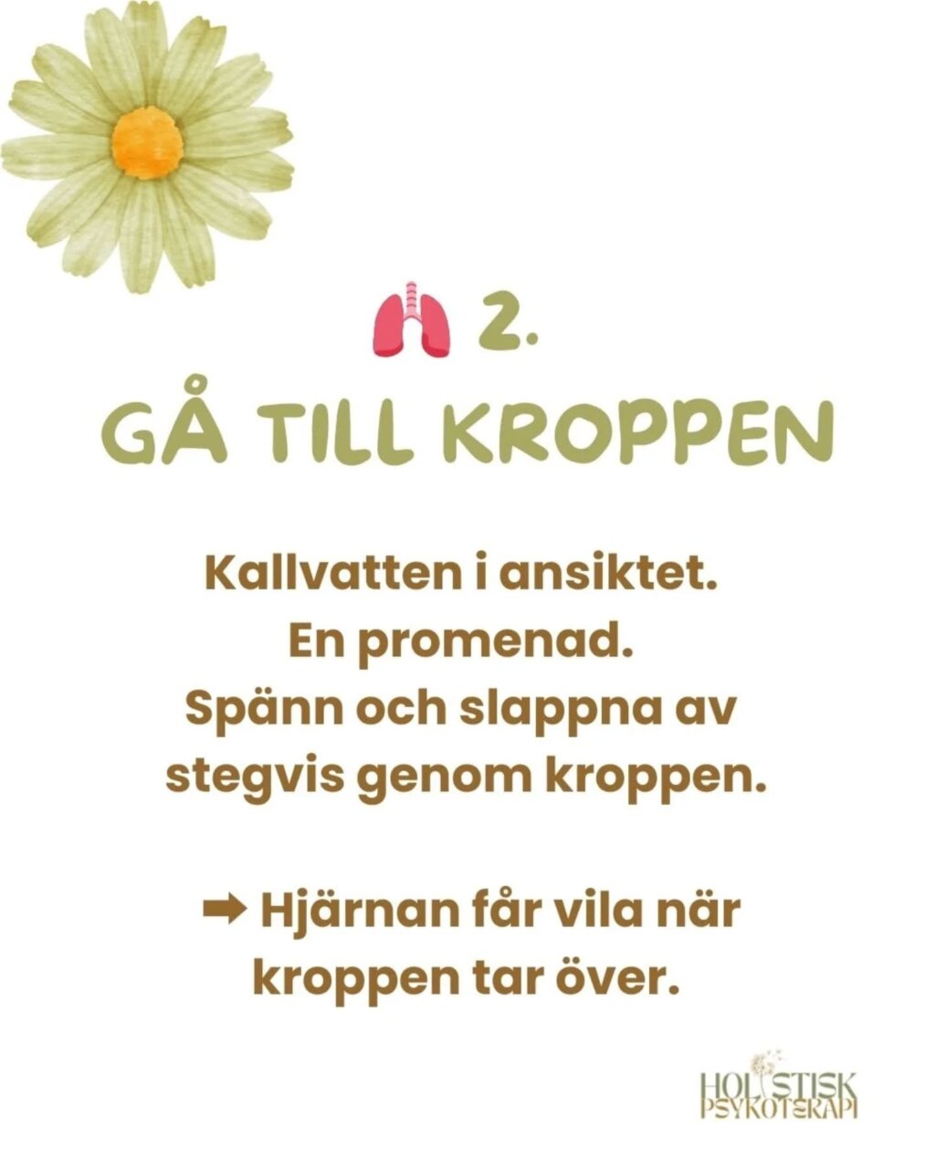 Instagram post from holistisk_psykoterapi. This post is in position 3.